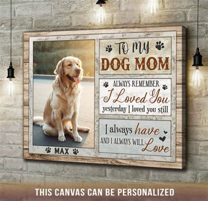 Can dogs remember their mom?