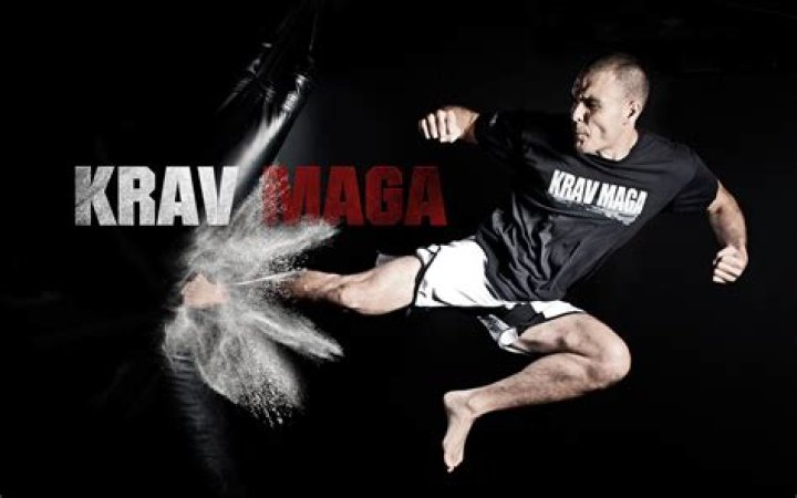 How many kicks are there in Krav Maga?