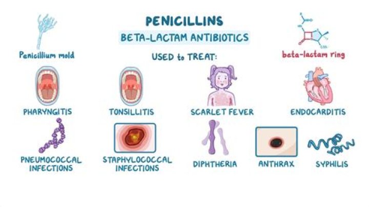 How many penicillin pills should I take for syphilis?