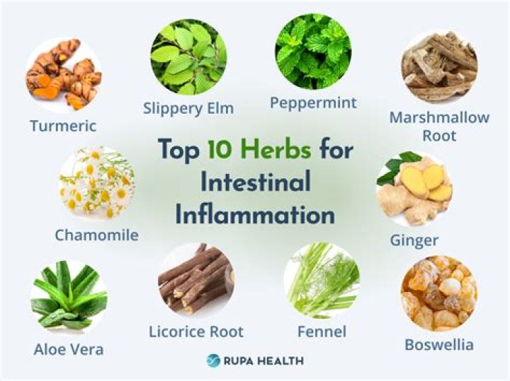 What herbal tea is good for pancreas?