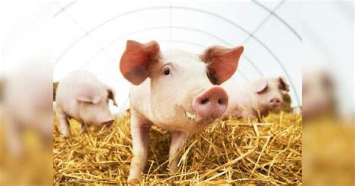 What is a weird fact about China?