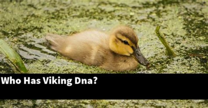 Who has Viking DNA?